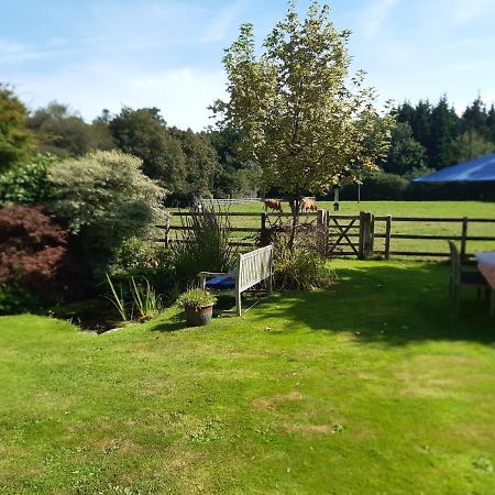 Woodlands Cottage Farm Wickham Exteriér fotografie