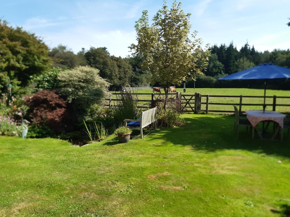 Woodlands Cottage Farm Wickham Exteriér fotografie