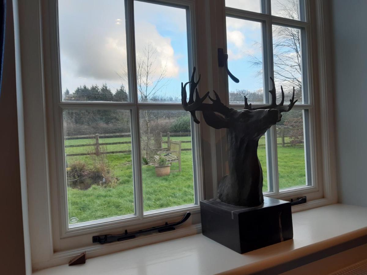 Woodlands Cottage Farm Wickham Exteriér fotografie