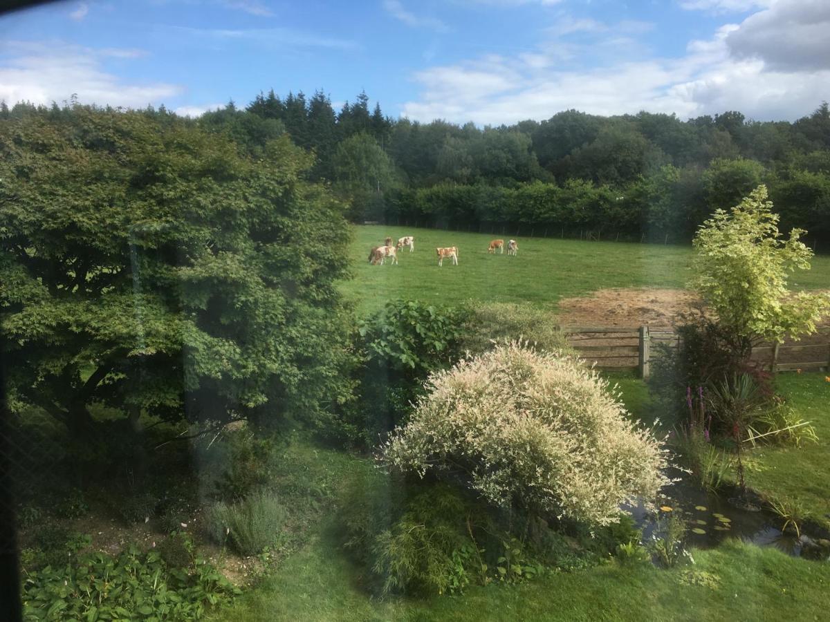 Woodlands Cottage Farm Wickham Exteriér fotografie