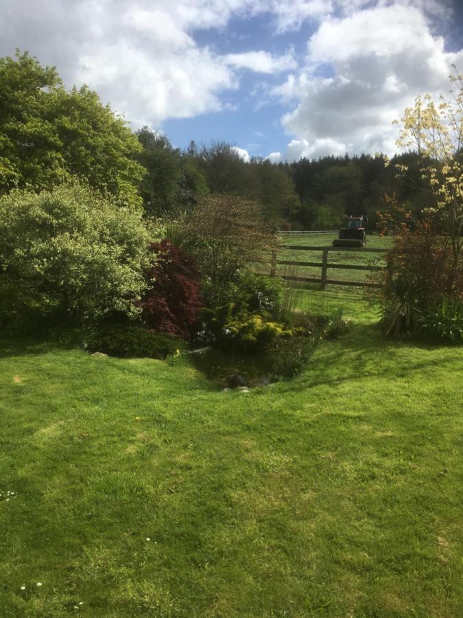 Woodlands Cottage Farm Wickham Exteriér fotografie